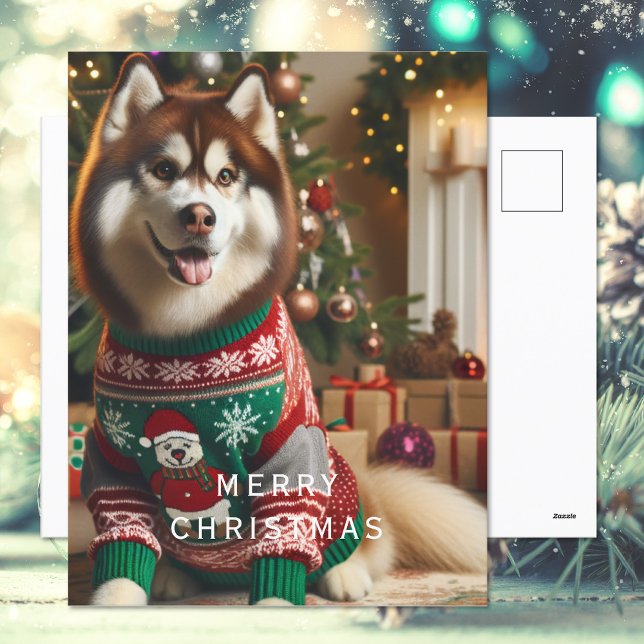 Cartes Pour Fêtes Annuelles Joyeux Noël photo (Créateur téléchargé)