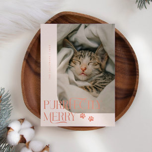 Cartes Pour Fêtes Annuelles Joyeux Noël Photo Chat Peach