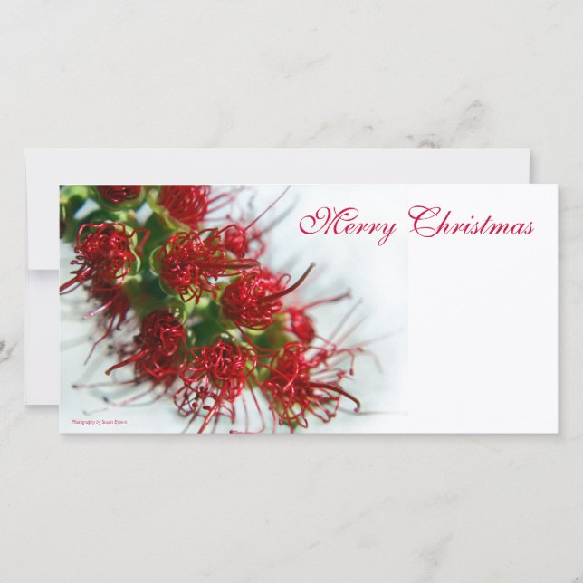 Cartes Pour Fêtes Annuelles Joyeux Noël Photocard (Devant)