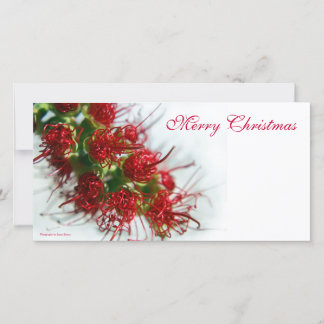 Cartes Pour Fêtes Annuelles Joyeux Noël Photocard