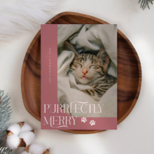 Cartes Pour Fêtes Annuelles Joyeux Noël Pink Photo Chat