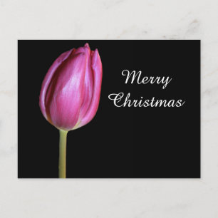 Cartes Pour Fêtes Annuelles Joyeux Noël Pink Tulip Fleur Photo Florale