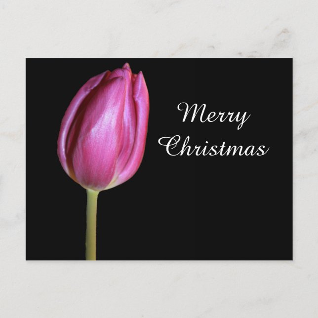 Cartes Pour Fêtes Annuelles Joyeux Noël Pink Tulip Fleur Photo Florale (Devant)