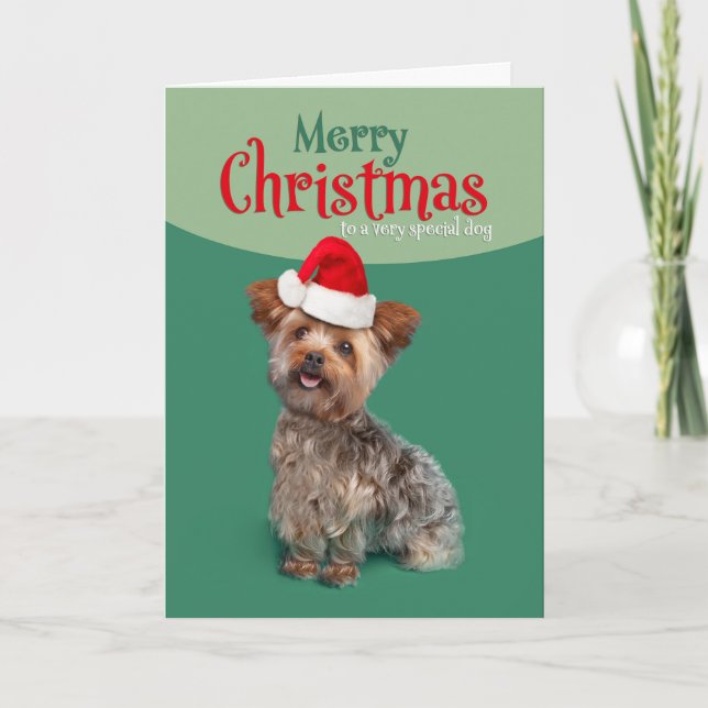 Cartes Pour Fêtes Annuelles Joyeux Noël pour chien Mignon Yorkie au chapeau de (Devant)