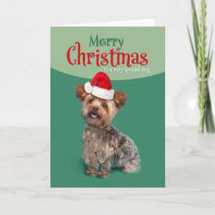 Cartes Pour Fêtes Annuelles Joyeux Noël pour chien Yorkie mignon en chapeau de
