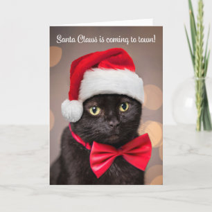 Cartes Pour Fêtes Annuelles Joyeux Noël pour n'importe qui Chat à Santa Hat Hu