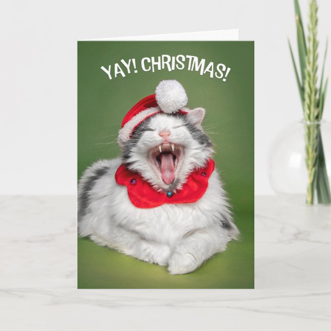 Cartes Pour Fêtes Annuelles Joyeux Noël pour tous Happy Chat en Casquette (Devant)