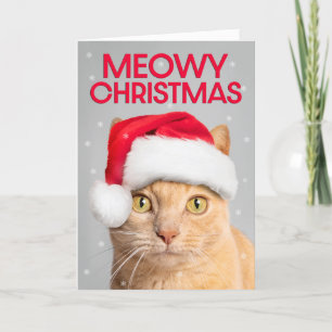 Cartes Pour Fêtes Annuelles Joyeux Noël pour tous mignonne chat Tabby orange