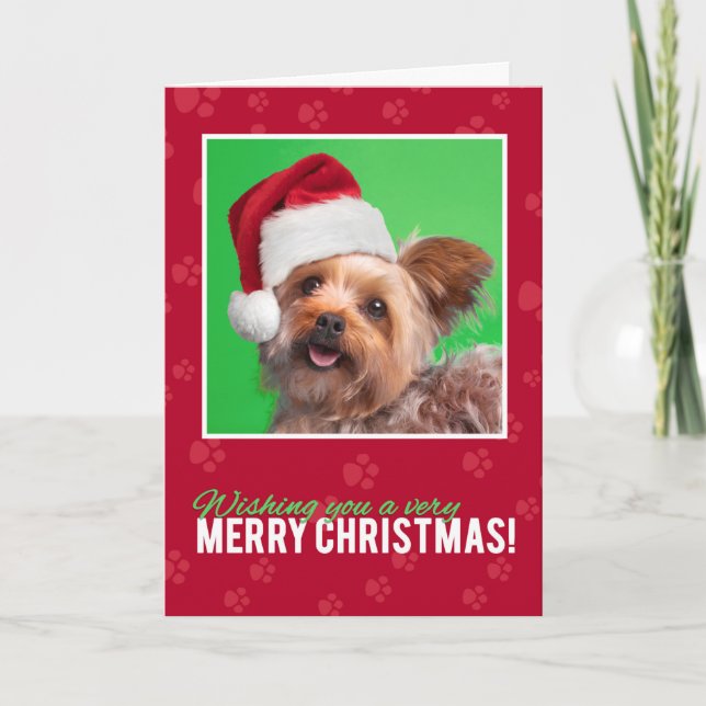 Cartes Pour Fêtes Annuelles Joyeux Noël pour tous mignonne Yorkie (Devant)