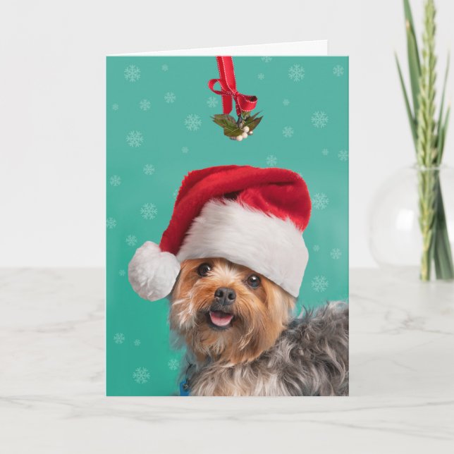 Cartes Pour Fêtes Annuelles Joyeux Noël Pour Toute Personne Mignonne Yorkie Ch (Devant)