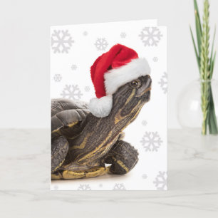 Cartes Pour Fêtes Annuelles Joyeux Noël pour toute tortue à Santa Hat