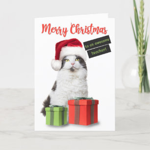 Cartes Pour Fêtes Annuelles Joyeux Noël Professeur Chat Mignon Avec Des Cadeau
