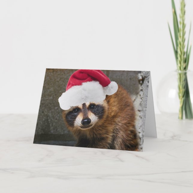 Cartes Pour Fêtes Annuelles Joyeux Noël Raccoon (Devant)
