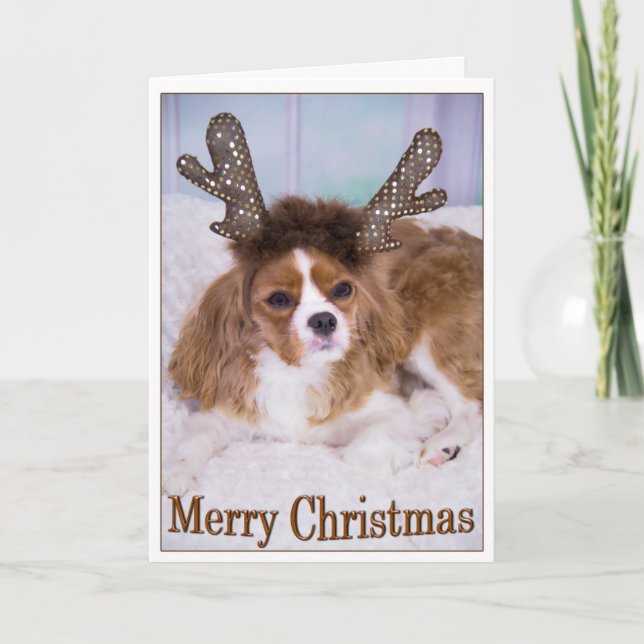 Cartes Pour Fêtes Annuelles Joyeux Noël Raindeer Cavalier King Charles (Devant)