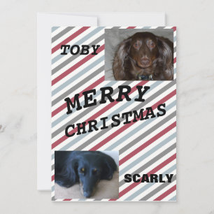 Cartes Pour Fêtes Annuelles Joyeux Noël rayé Duo d'animaux domestiques Bleu Gr