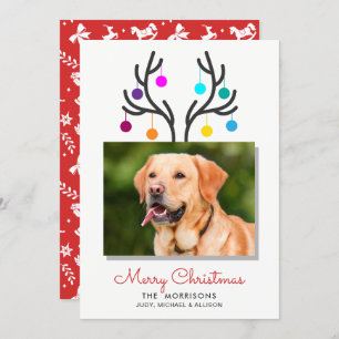 Cartes Pour Fêtes Annuelles Joyeux Noël Reindeer Antler Photo Pet Holiday