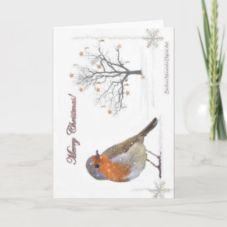 Cartes Pour Fêtes Annuelles Joyeux Noël Robin