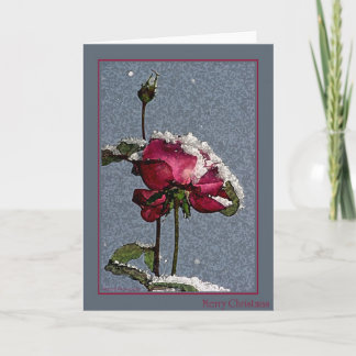 Cartes Pour Fêtes Annuelles Joyeux Noël - rose rouge avec la neige