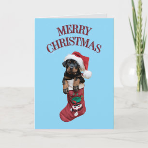 Cartes Pour Fêtes Annuelles Joyeux Noël Rottweiler mignon