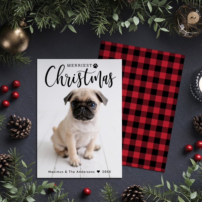 Cartes Pour Fêtes Annuelles Joyeux Noël Rouge Buffle Plaid Pet Photo (Créateur téléchargé)