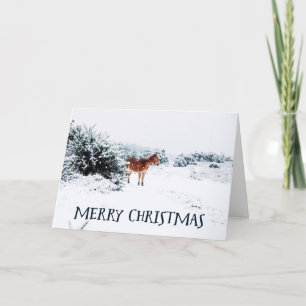 Cartes Pour Fêtes Annuelles Joyeux Noël Rustique scène d'hiver avec Cheval