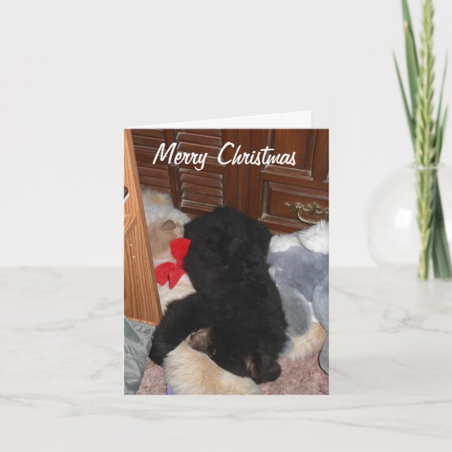 Cartes Pour Fêtes Annuelles Joyeux Noël - Shenandoah lumineux (Devant)