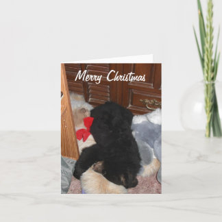 Cartes Pour Fêtes Annuelles Joyeux Noël - Shenandoah lumineux