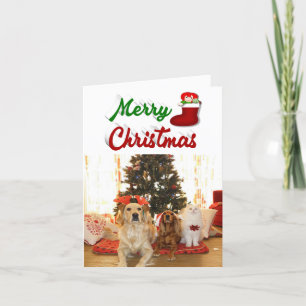 Cartes Pour Fêtes Annuelles Joyeux Noël Stocker photo rouge vert script