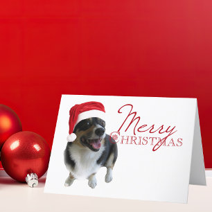 Cartes Pour Fêtes Annuelles Joyeux Noël Tricolor Corgi Père Noël Photo