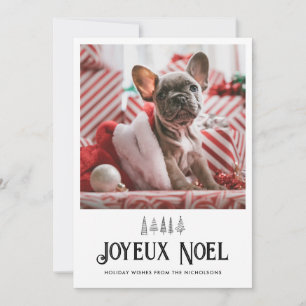 Cartes Pour Fêtes Annuelles Joyeux Noel Typographie Cute Animal Photo Noël