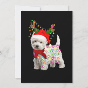 Cartes Pour Fêtes Annuelles Joyeux Noël Xmas Westie Chien Renne Cosplay