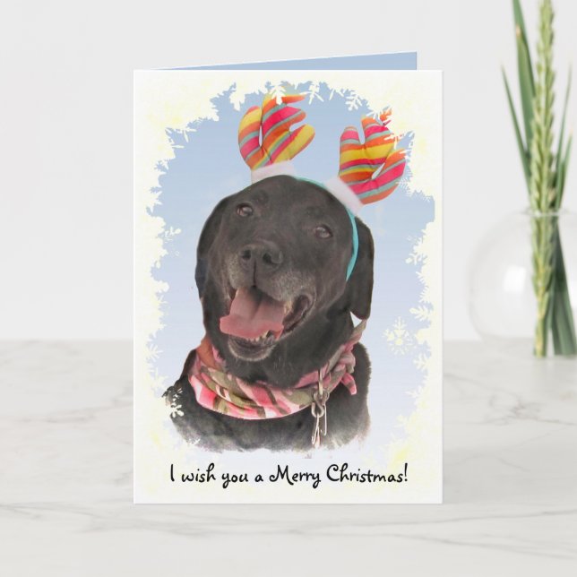 Cartes Pour Fêtes Annuelles Joyeux Noir Labrador Retriever Chien Noël (Devant)