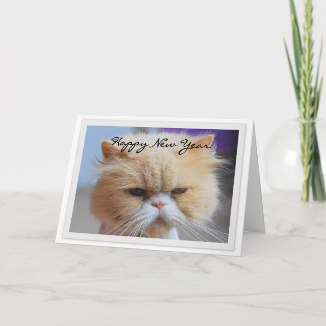 Cartes Pour Fêtes Annuelles Joyeux Nouvel An Humour de chats persans (Devant)