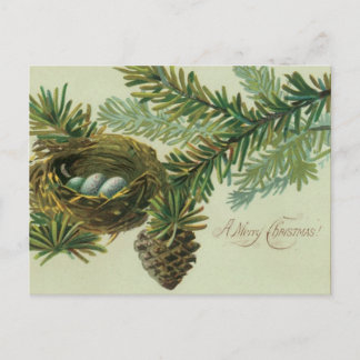 Cartes Pour Fêtes Annuelles Joyeux Oeufs de Noël