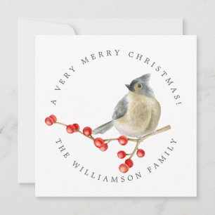 Cartes Pour Fêtes Annuelles Joyeux oiseau de Noël sur Berries Sprig