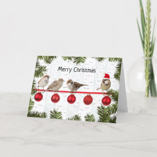 Cartes Pour Fêtes Annuelles Joyeux Oiseaux de Noël sur un membre