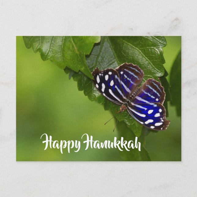 Cartes Pour Fêtes Annuelles Joyeux papillon bleu et blanc Hanoukka (Devant)