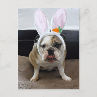 Cartes Pour Fêtes Annuelles Joyeux Pâques