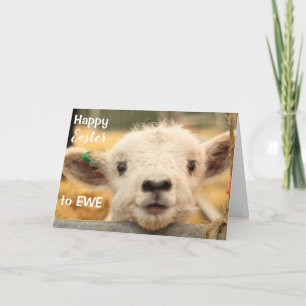 Cartes Pour Fêtes Annuelles Joyeux Pâques à EWE.
