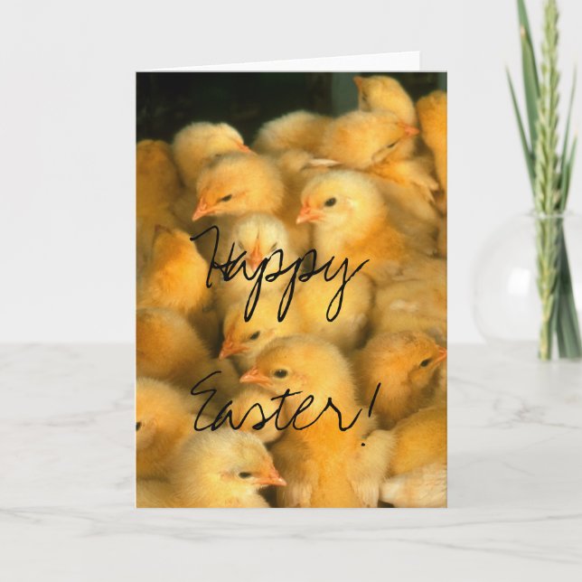 Cartes Pour Fêtes Annuelles Joyeux Pâques ! Beaucoup de poules (Devant)