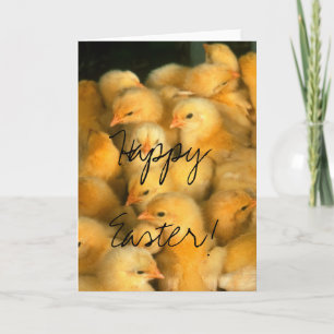 Cartes Pour Fêtes Annuelles Joyeux Pâques ! Beaucoup de poules