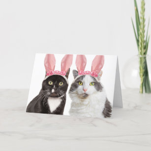 Cartes Pour Fêtes Annuelles Joyeux Pâques deux chats mignons dans le Humour de