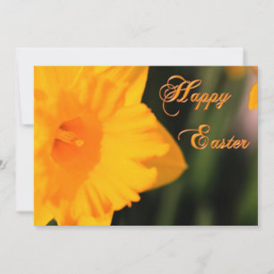 Cartes Pour Fêtes Annuelles Joyeux Pâques Jaune Printemps Daffodil Fleur