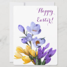 Joyeux Pâques joli crocus jaune violet fleuri