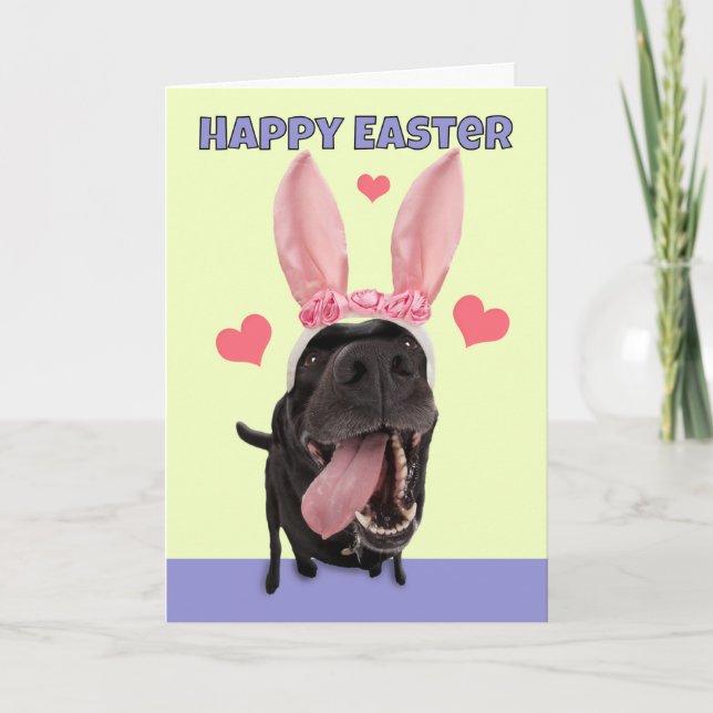 Cartes Pour Fêtes Annuelles Joyeux Pâques pour tous les chiens de nom dans Bun (Devant)