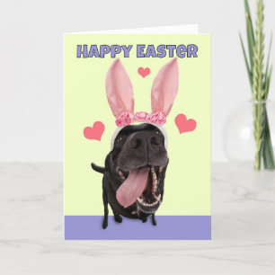 Cartes Pour Fêtes Annuelles Joyeux Pâques pour tous les chiens de nom dans Bun