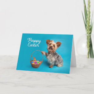 Cartes Pour Fêtes Annuelles Joyeux Pâques Pour Toute Personne Mignonne Chien Y