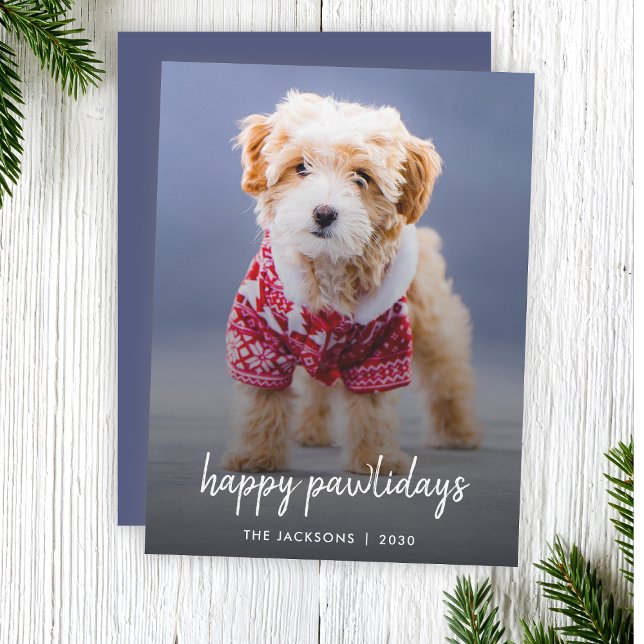 Cartes Pour Fêtes Annuelles Joyeux Pawlidays | Chien Noël Moderne Cute Bleu (Celebrate your furry friend with a modern "Happy Pawlidays" photo Christmas card by Guava)