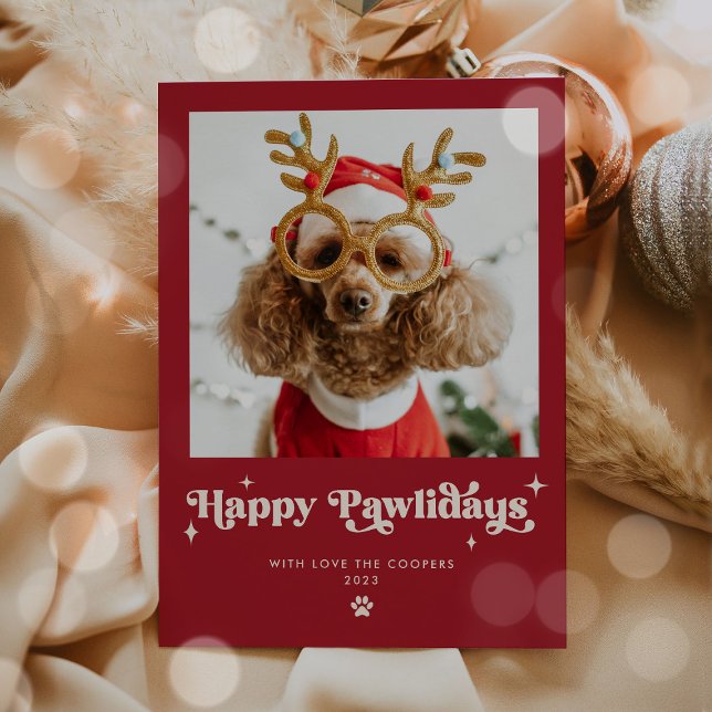 Cartes Pour Fêtes Annuelles Joyeux Pawlidays Chien Photo Drôle Noël (Créateur téléchargé)