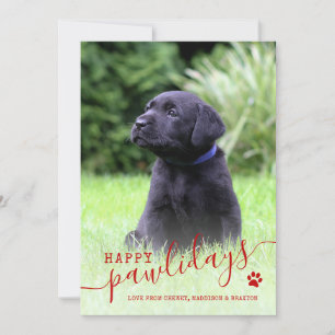 Cartes Pour Fêtes Annuelles Joyeux Pawlidays Chien Photo moderne Animaux de co